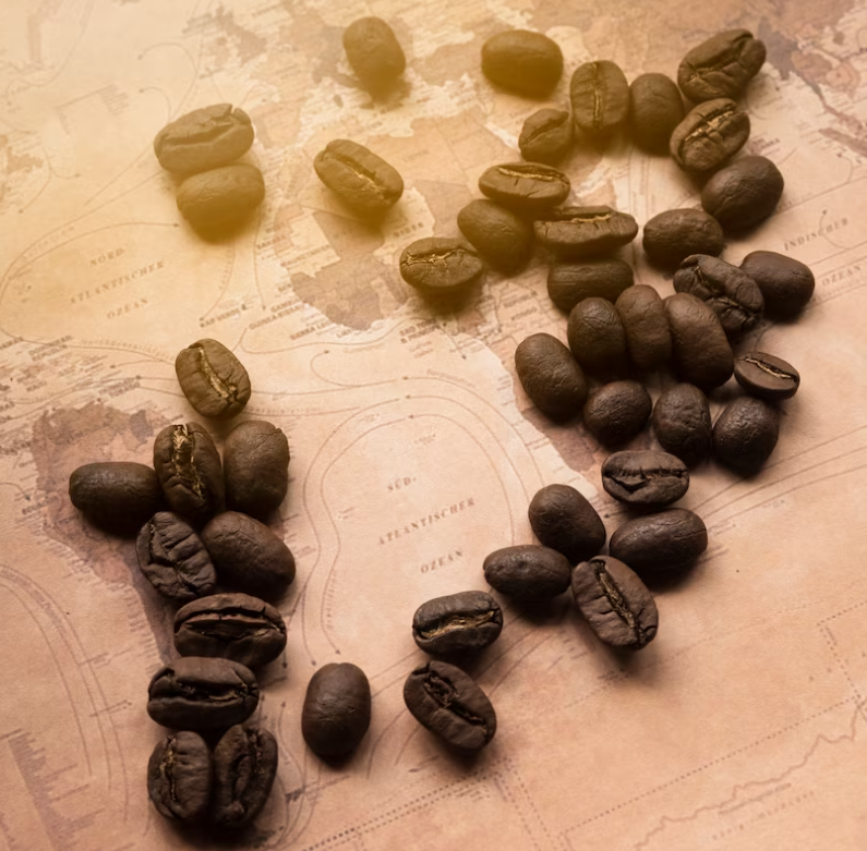 Discovering the World of Coffee: Exploring Arabica and Robusta Beans with Dark Roast Coffee Online