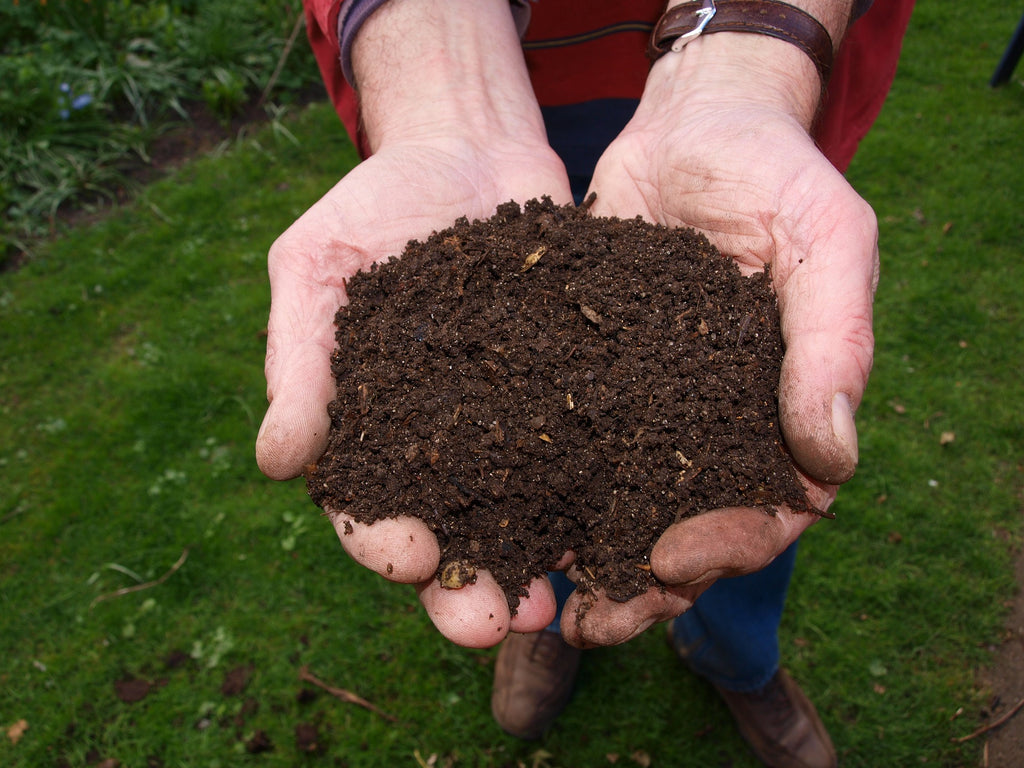 Top U.S. Compost Companies