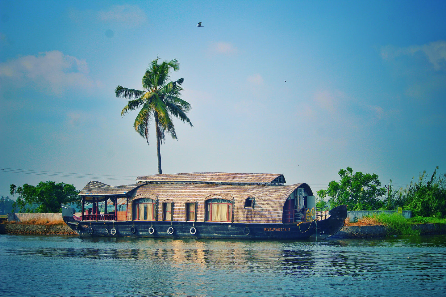 Houseboat on a river with a palm tree in the background. 