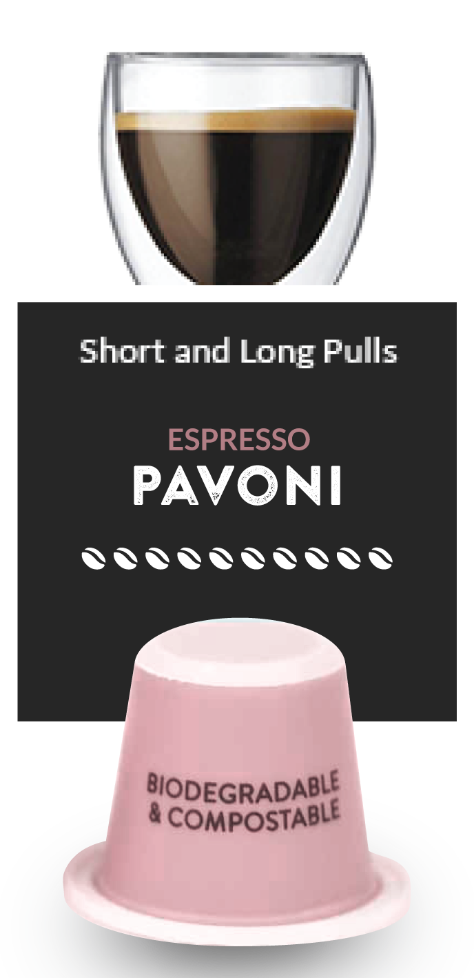 Espresso Pavoni