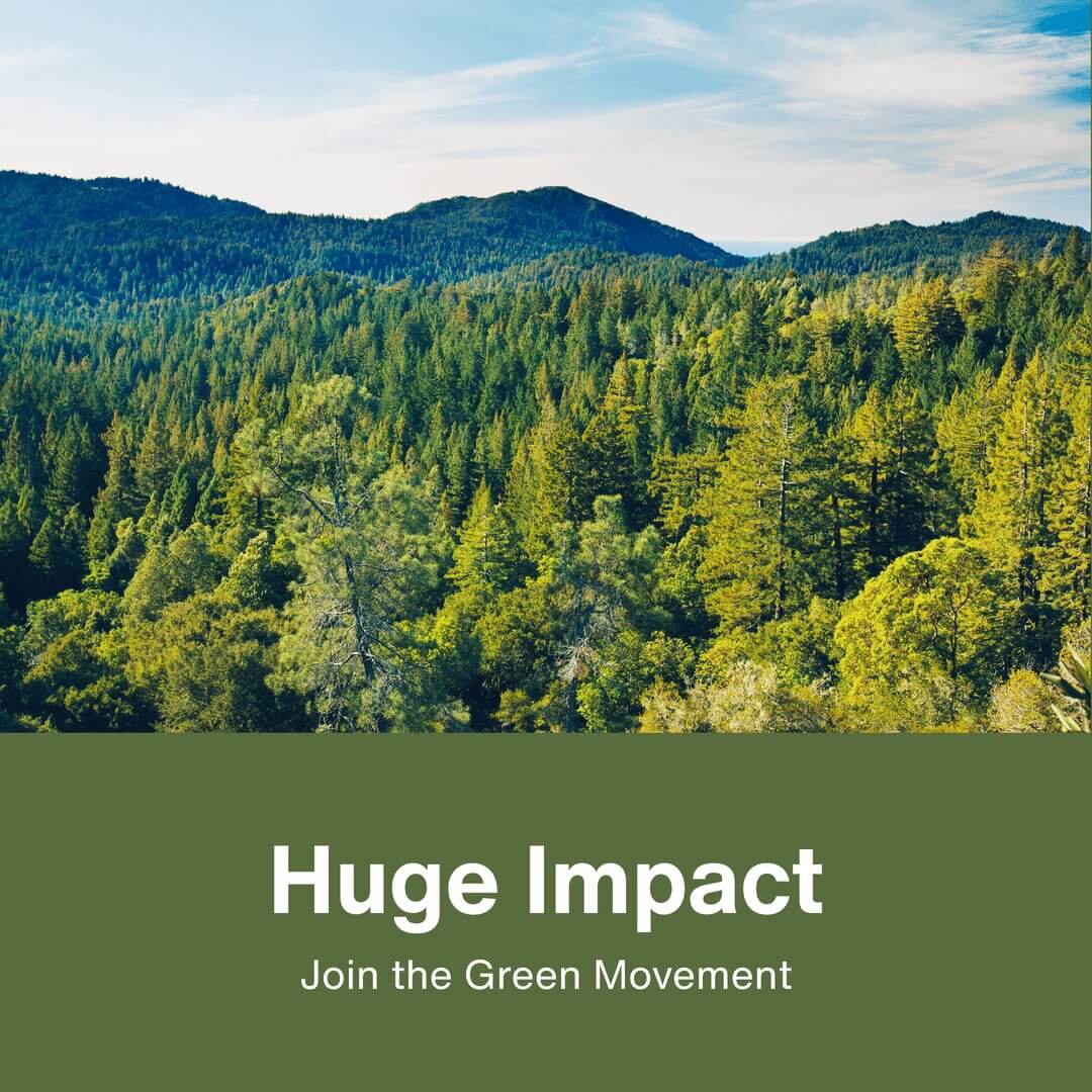 Tayst environment impact