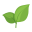sustainable