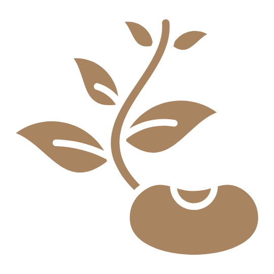 Brown icon of a bean with leaves on a transparent background