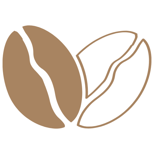 Outline of a coffee bean on a green background