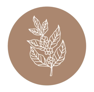 Coffee branch