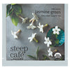 Bigelow - Steep Café Teas - Case of 50 Teabags